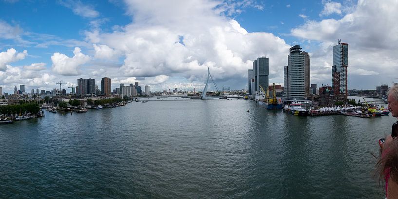 Panorama Rotterdam Kop van Zuid met Erasmusbrug van Hans Verhulst