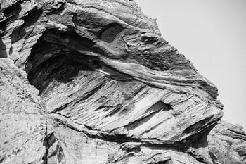 Dinosaurus kop in steen