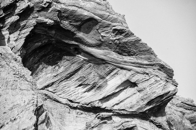 Dinosaurus kop in steen van Stephan Van Reisen