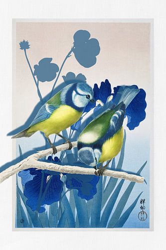 Birds and Iris Flowers