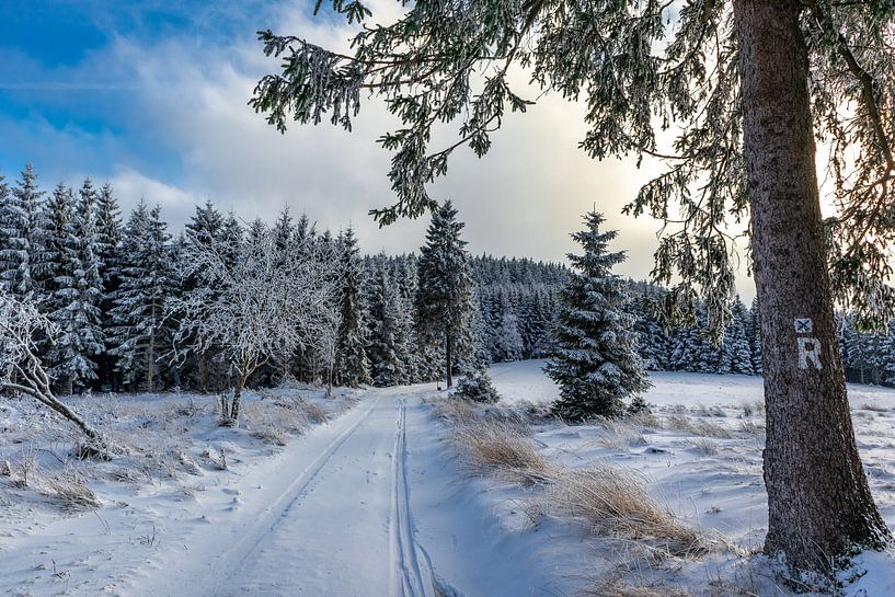 First winter hike on the Rennsteig by Oliver Hlavaty