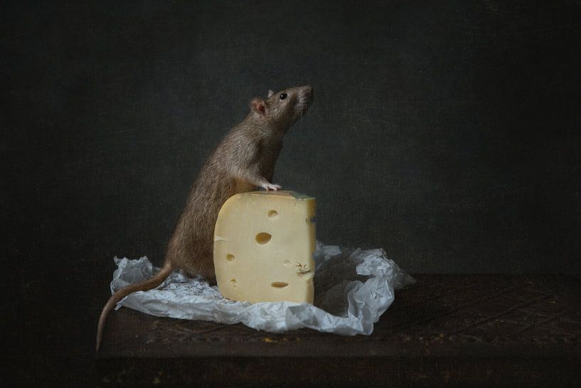 Cheese Eater by Carolien van Schie