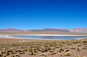 Weite Andenebene in Bolivien