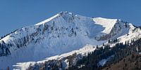 de besneeuwde Fellhorn in de Allgäuer Alpen van Walter G. Allgöwer thumbnail