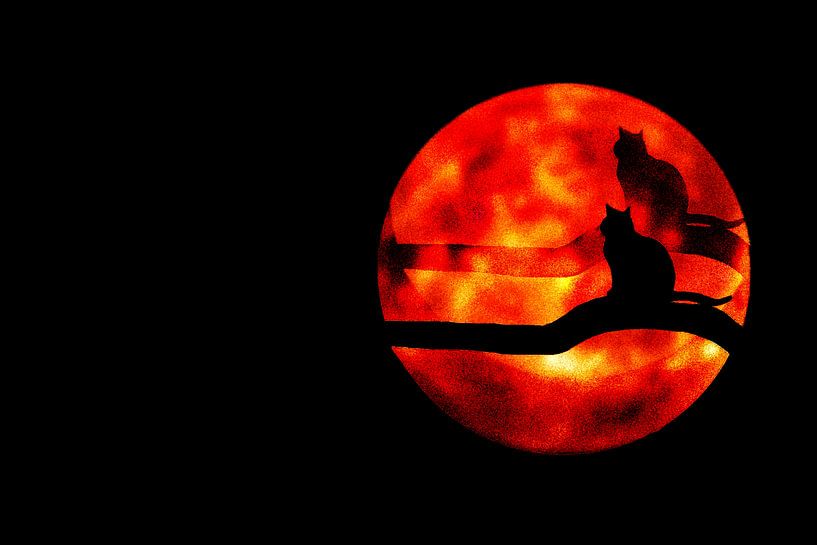 Halloween by Truckpowerr
