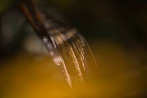 Reed avec un visage, Wagenberg, Noord-Brabant, Pays-Bas