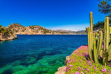 Port de Andratx baai kust, Mallorca Spanje Balearen van Alex Winter