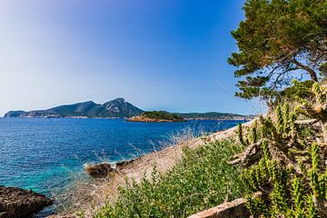 Sa Dragonera nationaal park, aan de kust van Sant Elm van Alex Winter