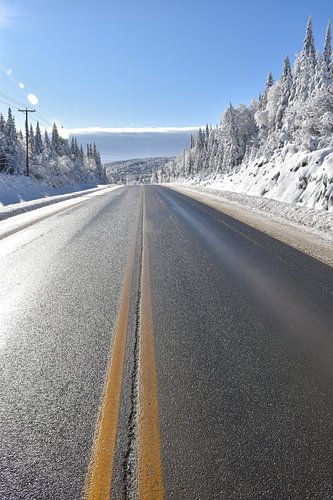 Een landweg in de winter
