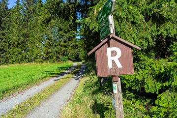 Panneau indicateur Rennsteig sur le sentier de randonnée dans la forêt de Thuringe, Allemagne sur Animaflora PicsStock