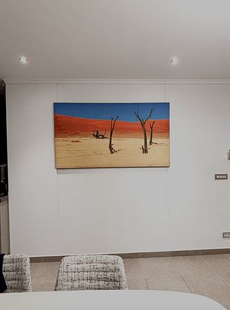 Old trees in Deadvlei, Namibia
