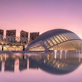 Stadt der Künste und Wissenschaften Valencia bei Sonnenuntergang von Sander Groenendijk
