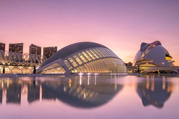 Stadt der Künste und Wissenschaften Valencia bei Sonnenuntergang von Sander Groenendijk
