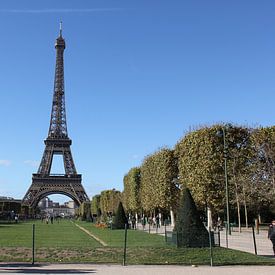 Eiffeltower sur michael nigten