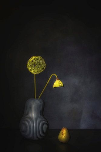 De schoonheid van het verval.