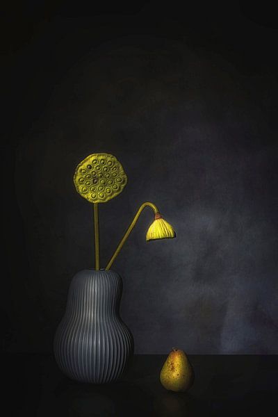 The beauty of decay. by Saskia Dingemans Awarded Photographer
