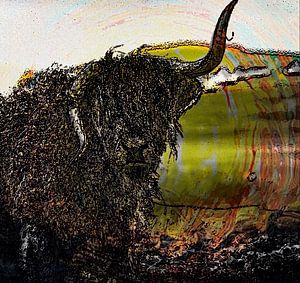 Schottische Highlander "Farben" nein du bist schön?
