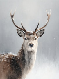 Winter deer portrait