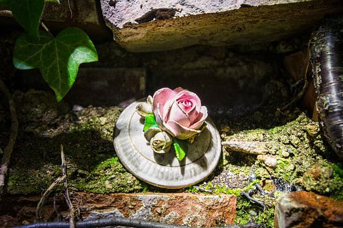 Porseleinen bloem op een verlaten plek