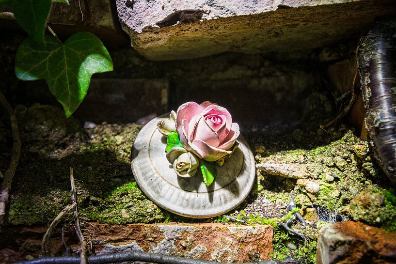 Porcelain flower in a deserted place by Gentleman of Decay