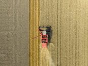 Tarweoogst in de zomer van bovenaf gezien van Sjoerd van der Wal Fotografie thumbnail