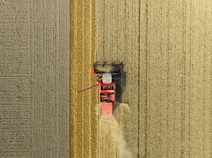 Weizenernte im Sommer von oben gesehen