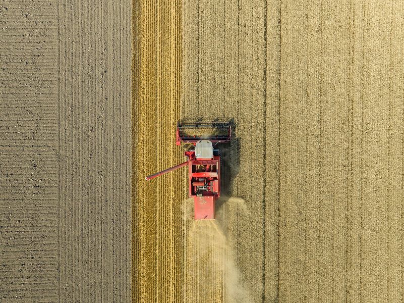 Tarweoogst in de zomer van bovenaf gezien van Sjoerd van der Wal Fotografie
