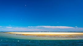Sandbank vor der Küste von Rügen, Deutschland von Rietje Bulthuis