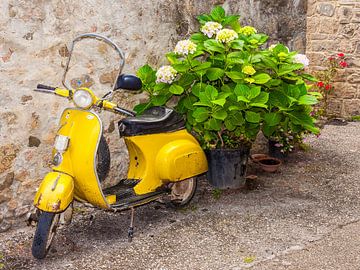 Vespa mit Hortensien, Italien. von Jaap Bosma Fotografie