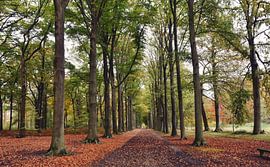 Herfst in lanaken van Goldeneyes