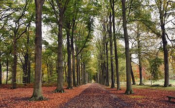Herfst in lanaken van Goldeneyes
