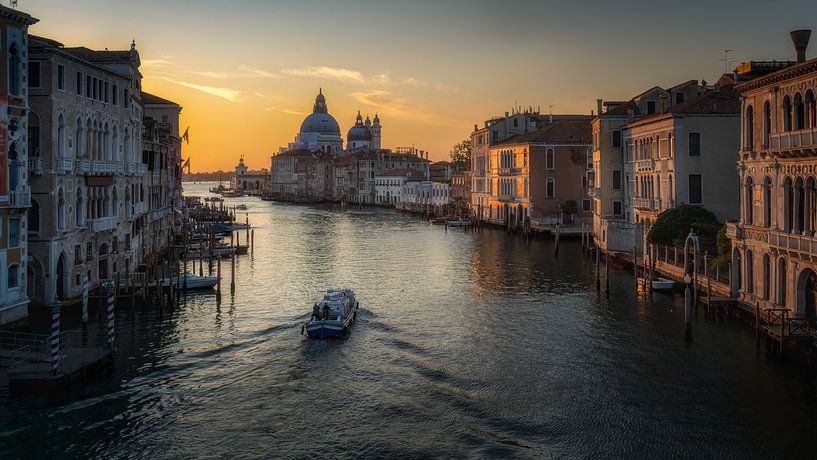 The first light of Venice by Roy Poots