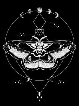 Luna Moth Graphic Artwork