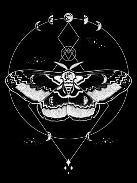 Luna Moth Grafikvorlage von Marith Buma