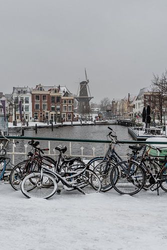 Leiden - cycling on a snowy blue port bridge (0098)