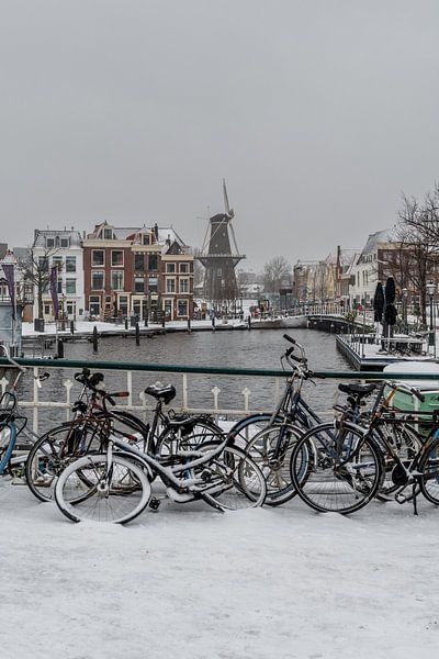 Leiden - cycling on a snowy blue port bridge (0098) by Reezyard