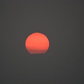 Zonsondergang van Robben