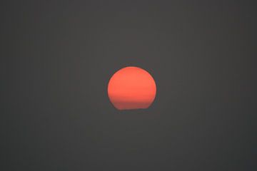 Zonsondergang van Robben