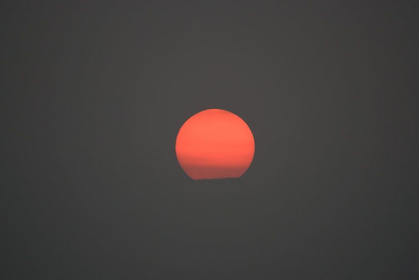 Zonsondergang van Robben