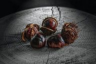 Chestnut by artpictures.de thumbnail