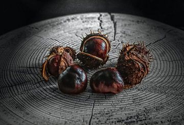 Chestnut