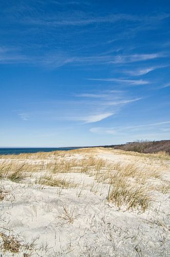 Op het Oostzeestrand met duinen