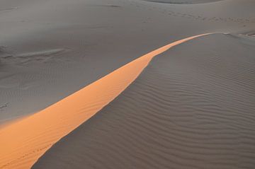 The dunes of the Sahara by Theo van Woerden