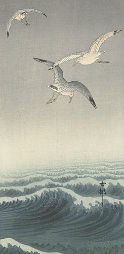 Drie meeuwen van Ohara Koson