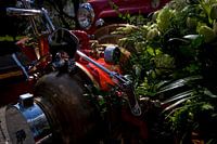 Oldtimer Dodge Brandweerwagen op de bloemen corso