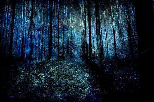 Aan het eind van een bos #06