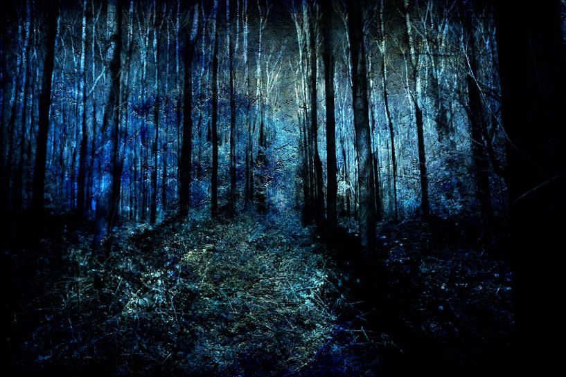 Am Ende eines Waldes #06 von Peter Baak