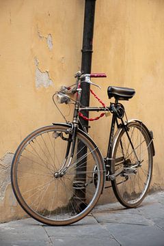 De rode fiets: La Bicicletta in Italie van Dorus Marchal