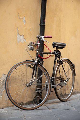 De rode fiets: La Bicicletta in Italie
