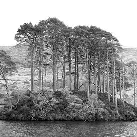 Scotland - stunning scenery 3 by Ronald Harmsen